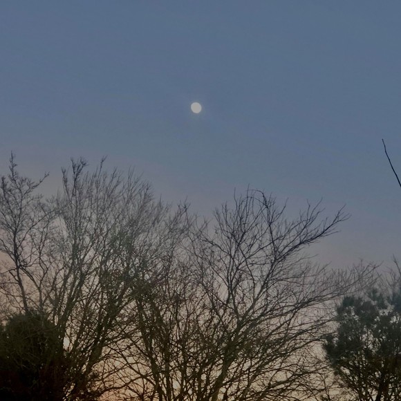 Meet your Posher, Myranda - Picture 1 of 1